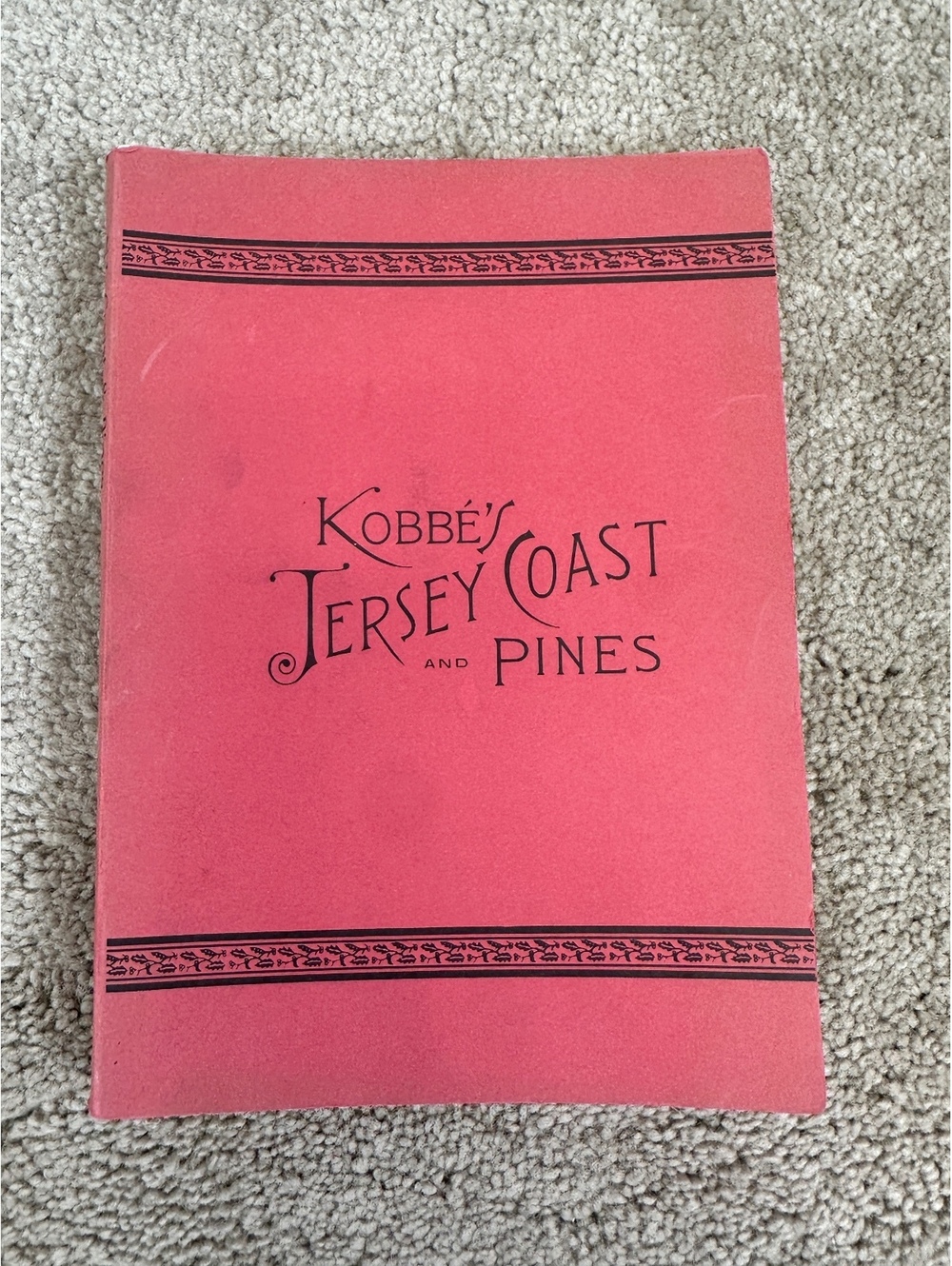 VTG 1982 New Jersey Coast And Pines Gustav Kobbé Illustrated Guide Maps
